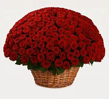 Премиум букет из: Розы #REPLACE_PRED# Кременкуль